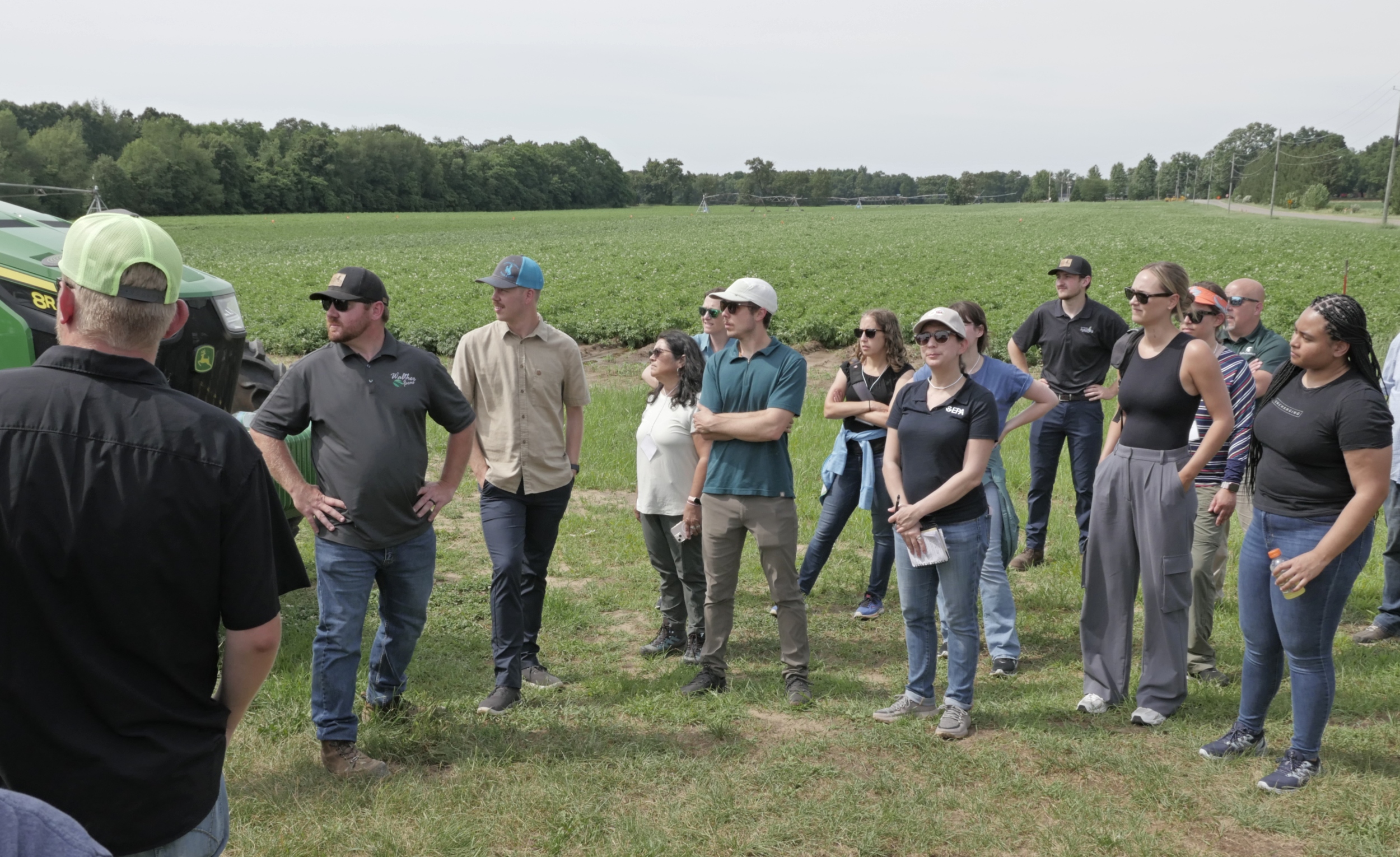 group potato field